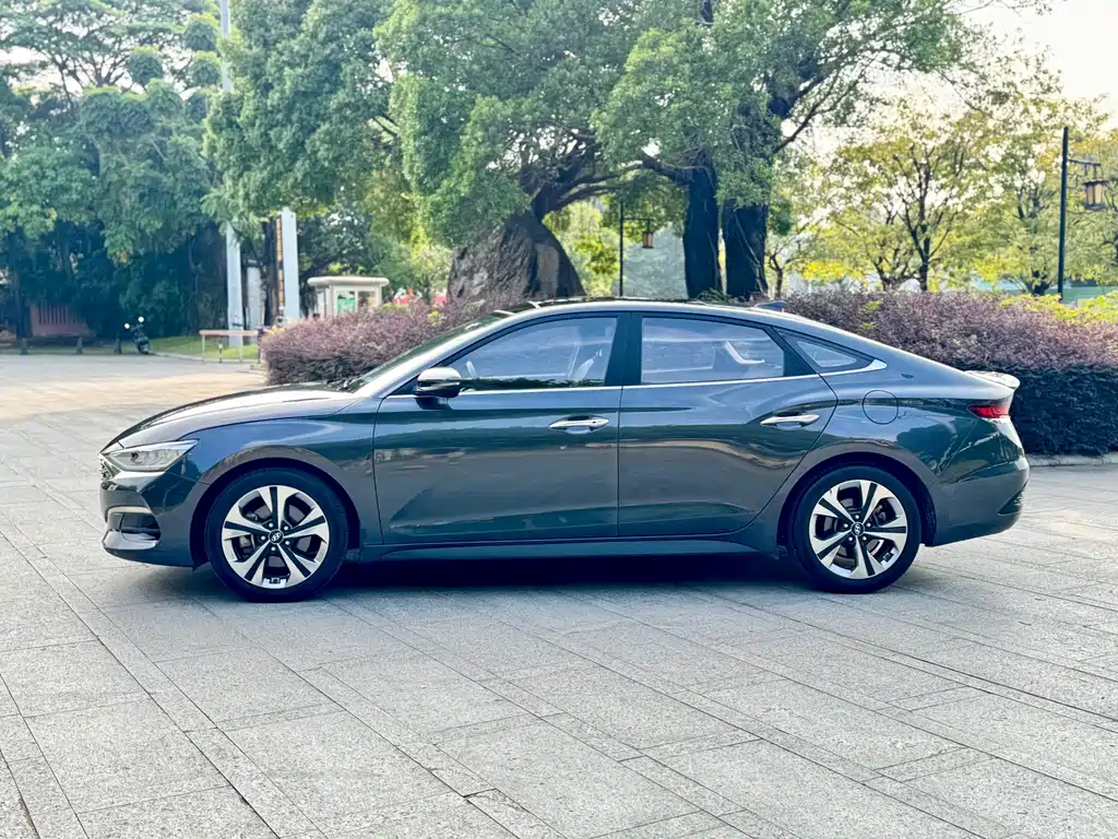 Hyundai Fista — миниатюра 4