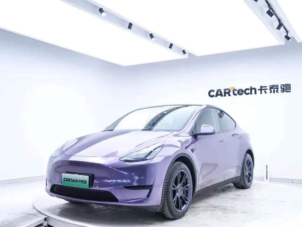 Tesla Model Y — миниатюра 9