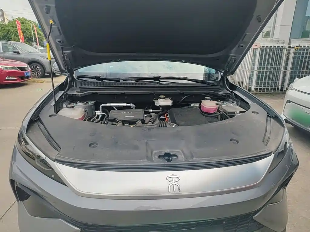 BYD Pro New Energy — миниатюра 20