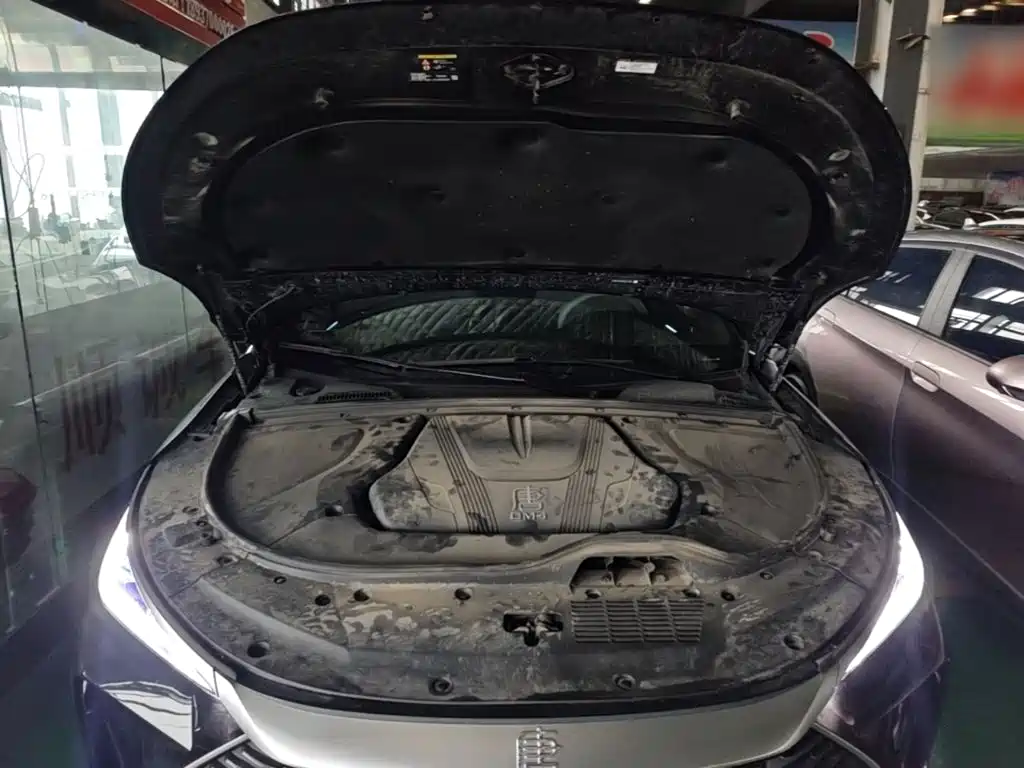 BYD Tang New Energy — миниатюра 20