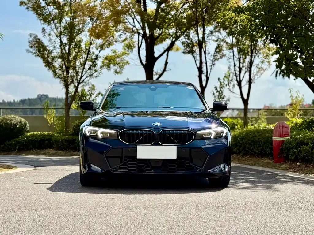 BMW 3 Series — миниатюра 2