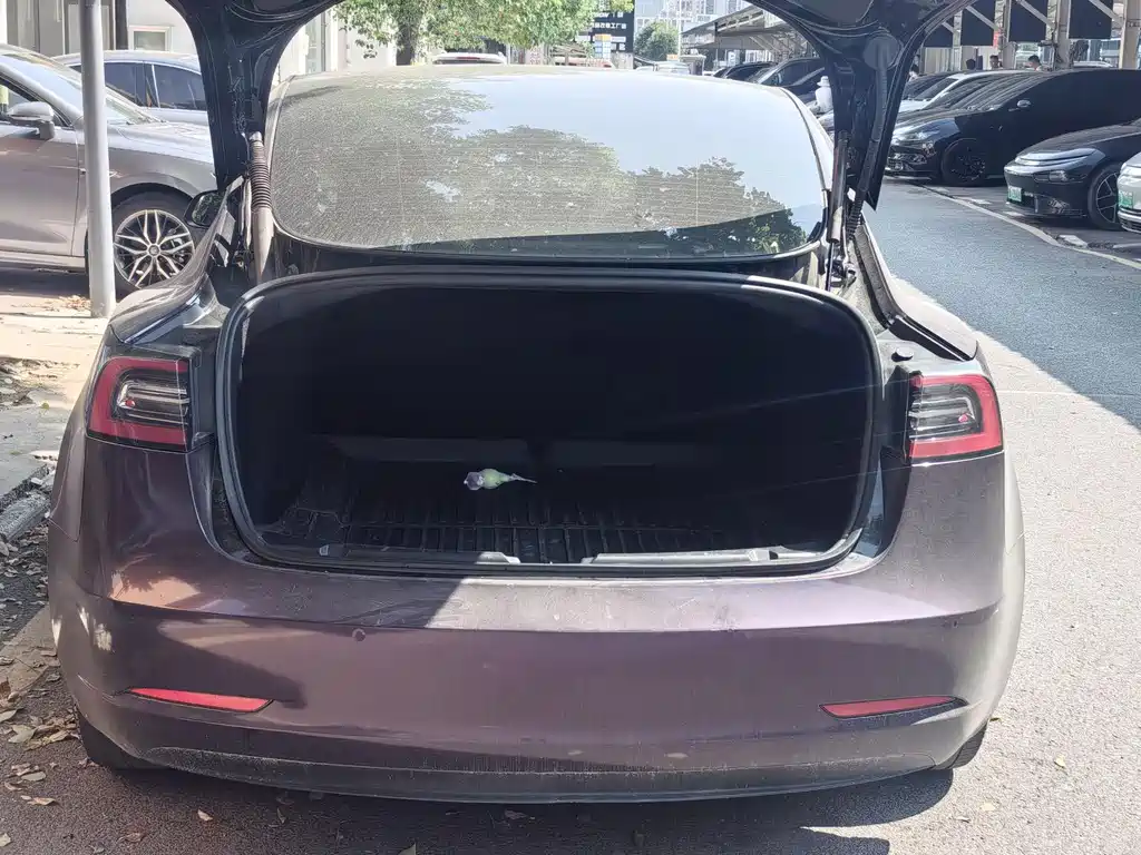 Tesla Model 3 — миниатюра 12
