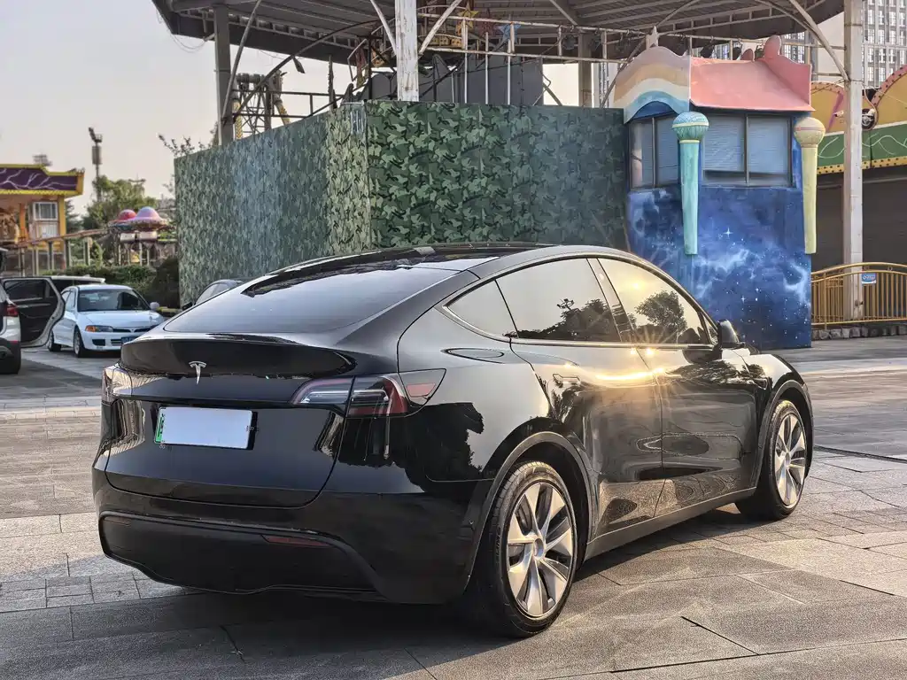 Tesla Model Y — миниатюра 5