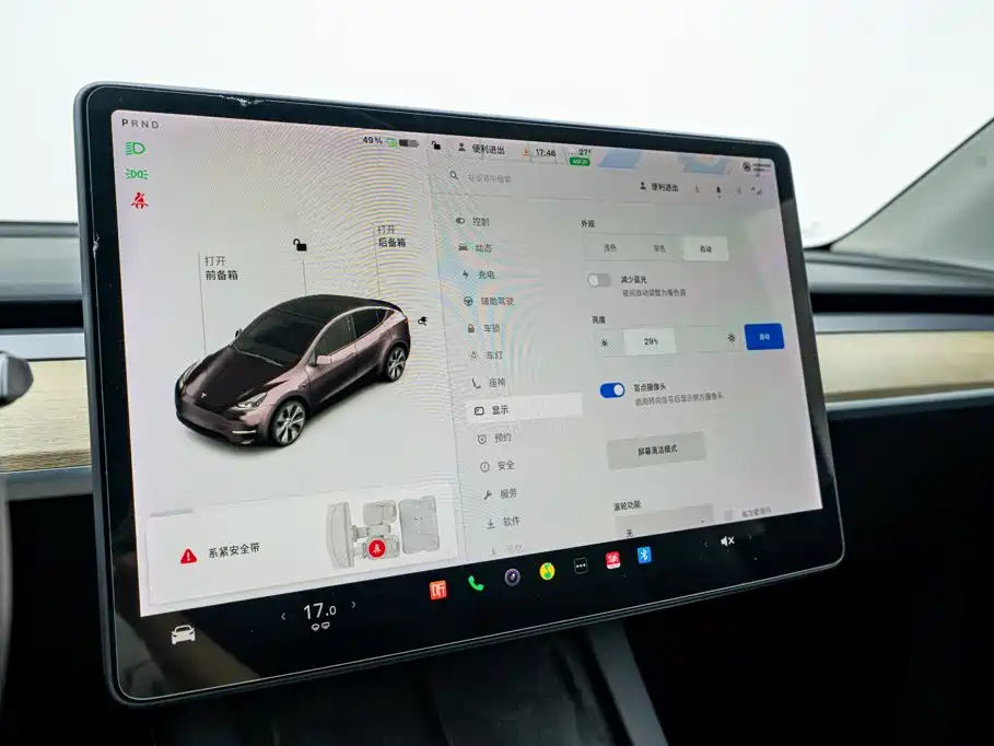 Tesla Model Y — миниатюра 23