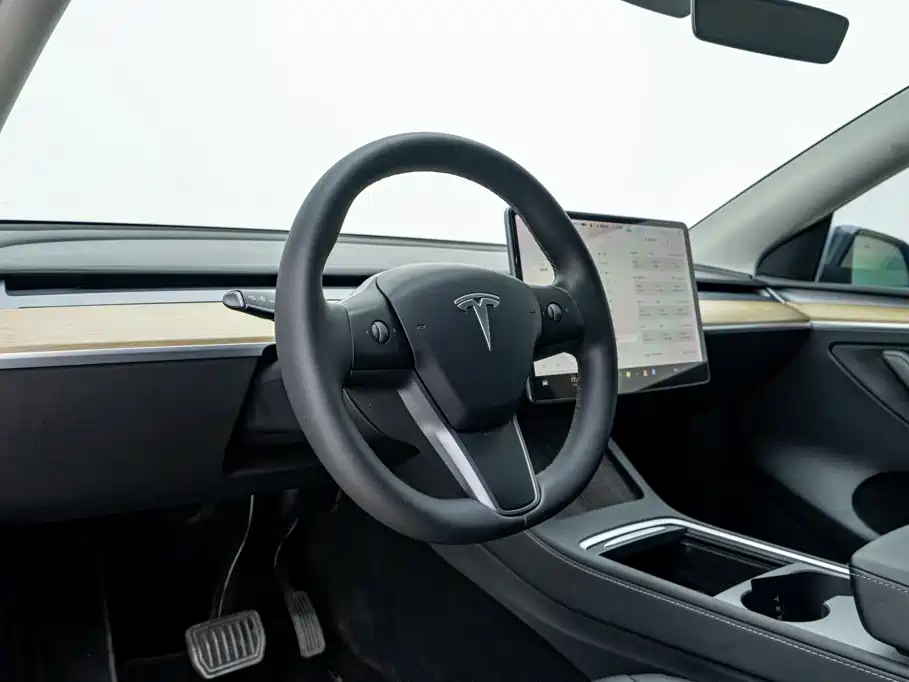 Tesla Model Y — миниатюра 21