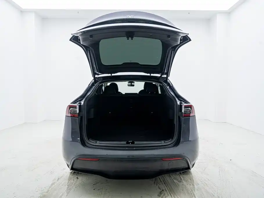 Tesla Model Y — миниатюра 9