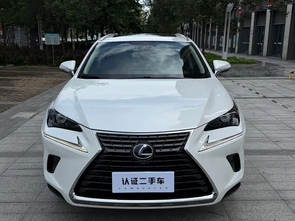 Lexus NX — миниатюра 2