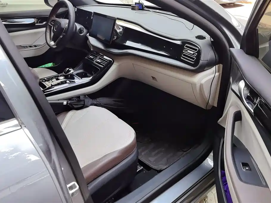 BYD Qin Plus PLUS 2024 DM-i 55KM Lead