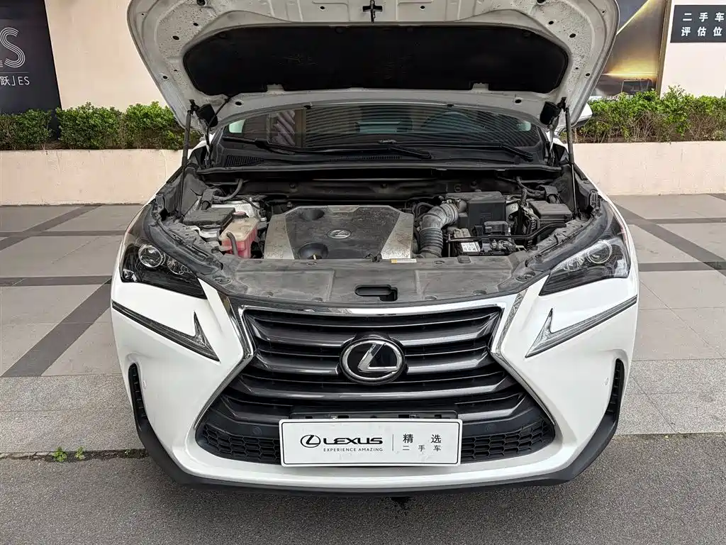 Lexus NX — миниатюра 15