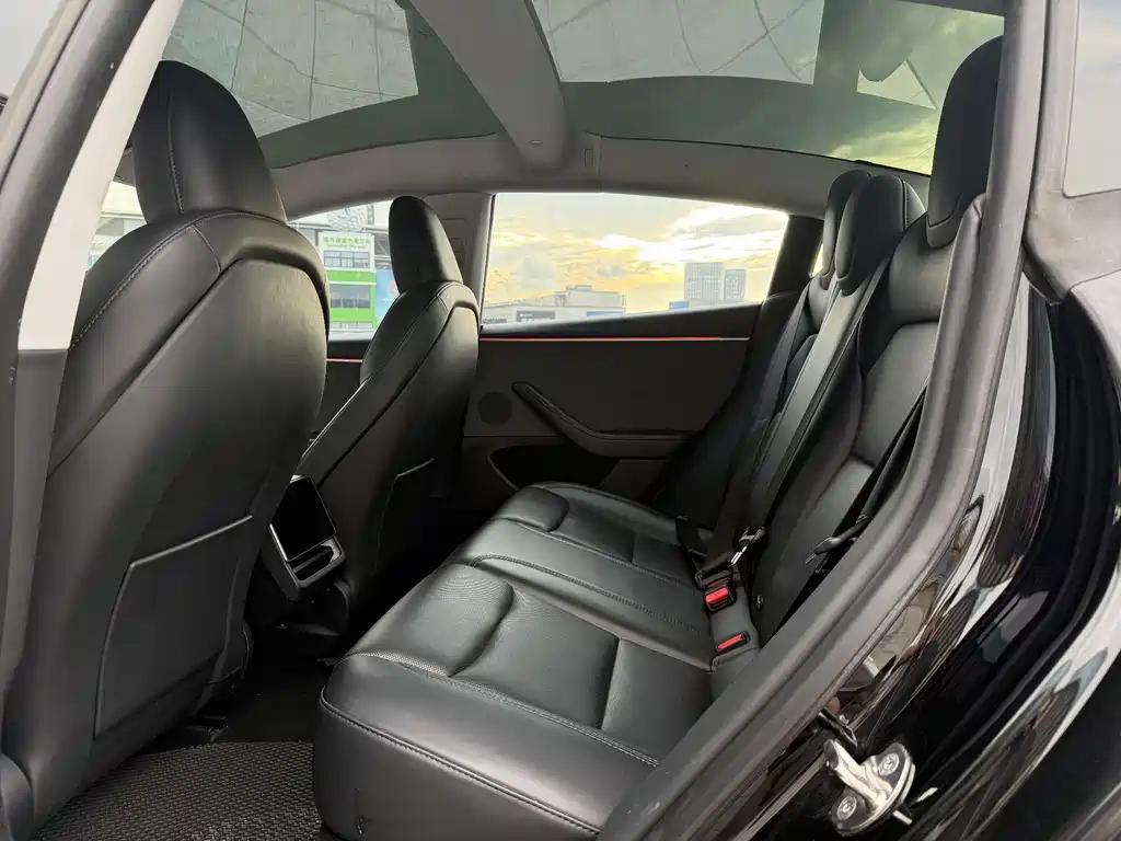 Tesla Model 3 — миниатюра 10