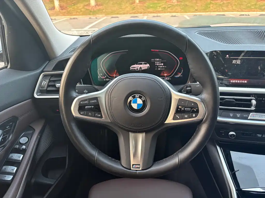 BMW 3 Series — миниатюра 18