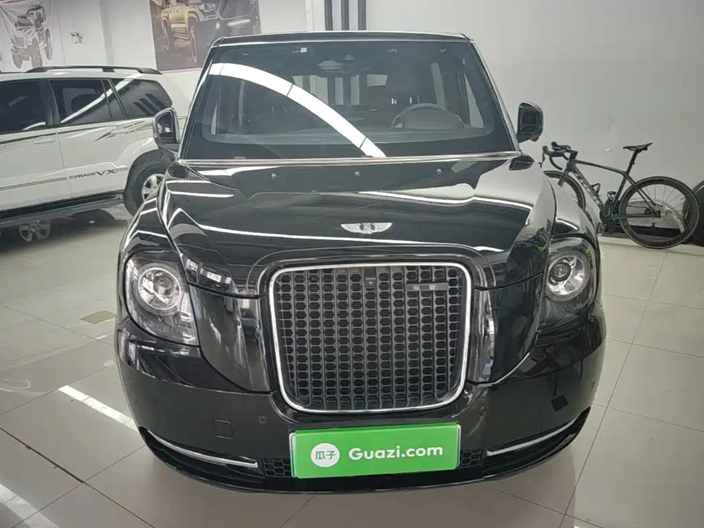 LEVC LEVC TX — миниатюра 3
