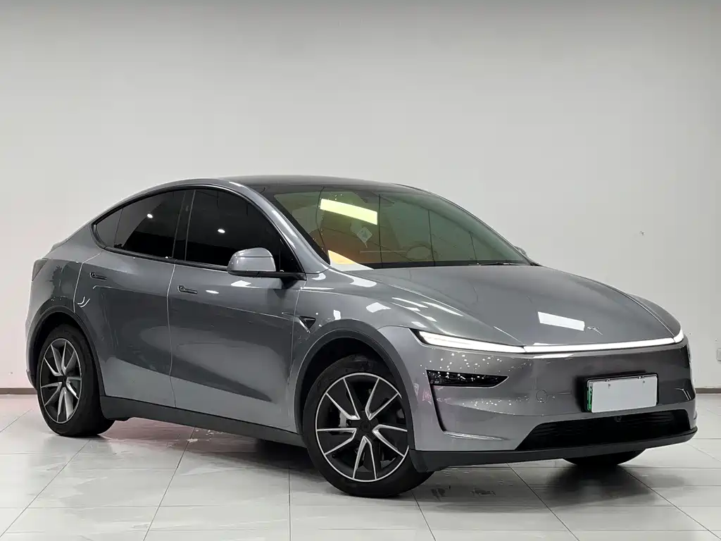 Tesla Model Y — миниатюра 3