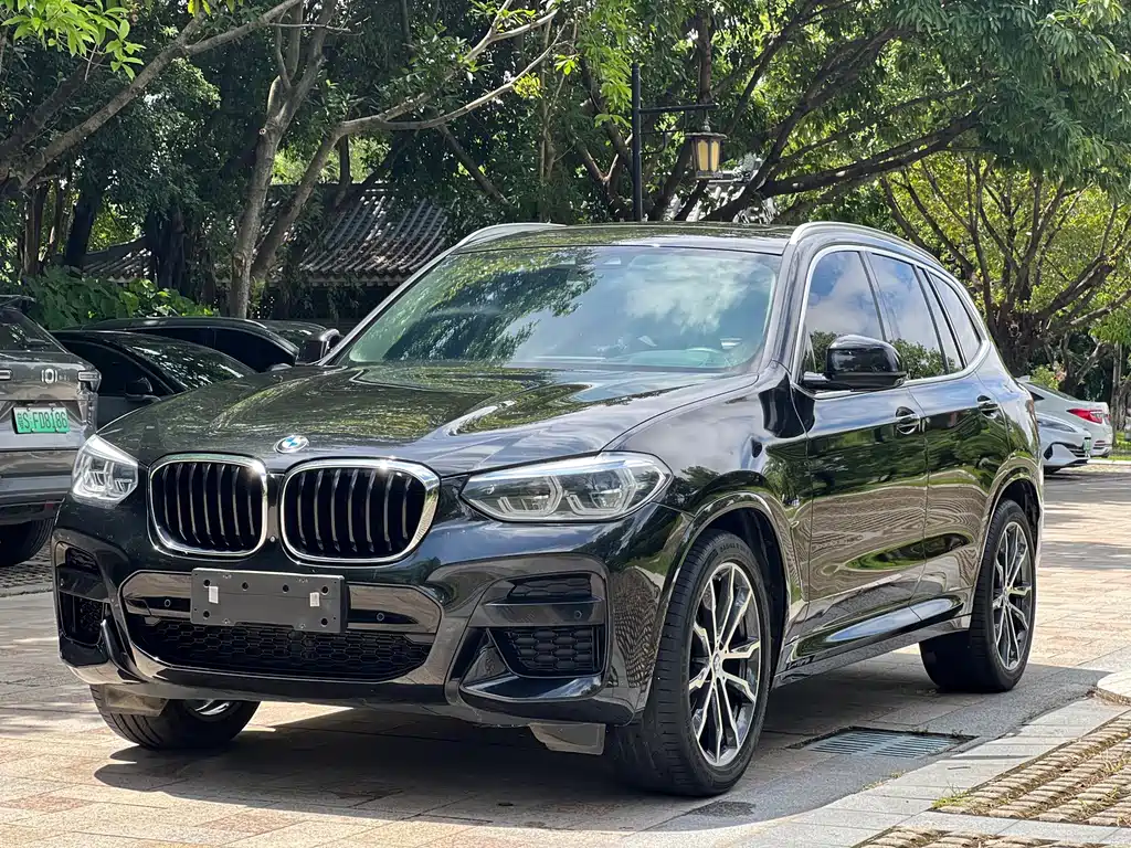 BMW X3 — миниатюра 2