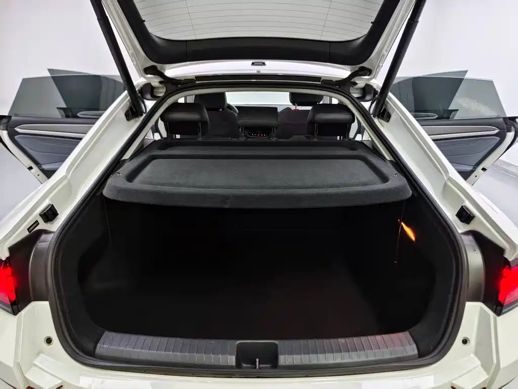 Volkswagen Lamando — миниатюра 18