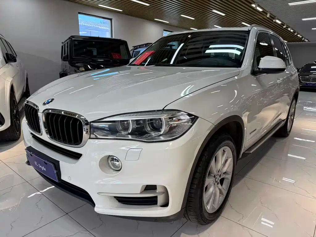 BMW X5 (Import) — миниатюра 2