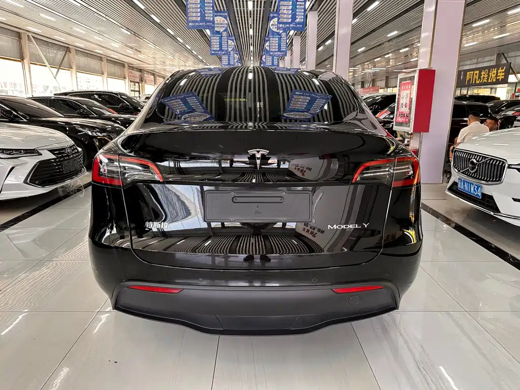 Tesla Model Y — миниатюра 5