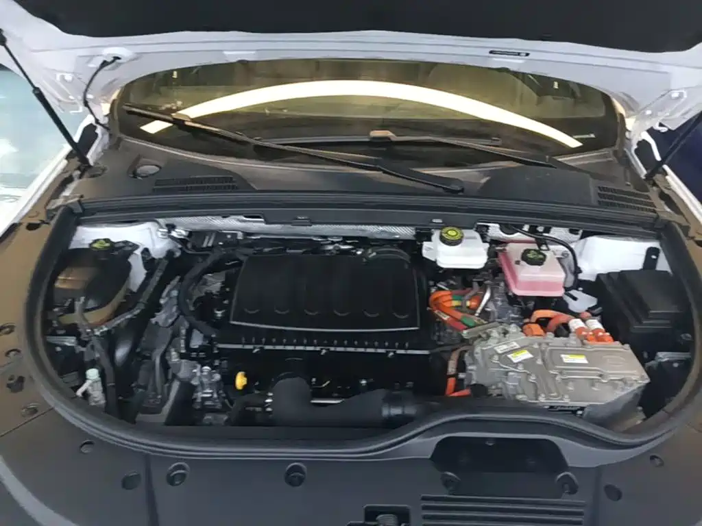 BYD Tang New Energy — миниатюра 20