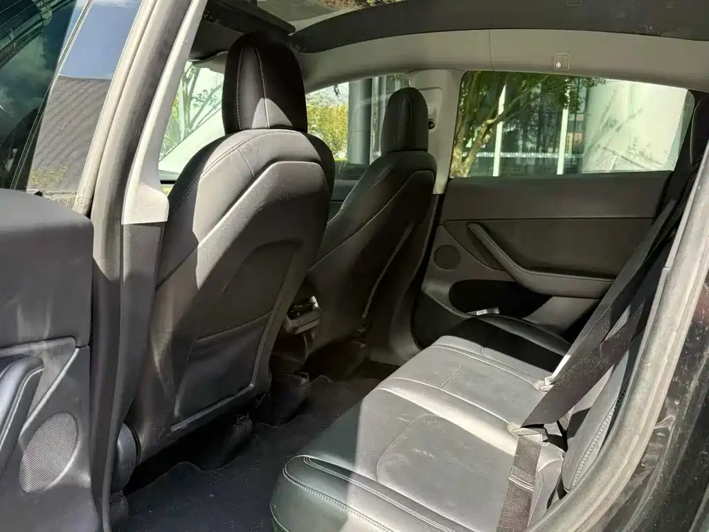 Tesla Model Y — миниатюра 4