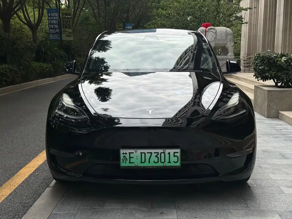 Tesla Model Y — миниатюра 2