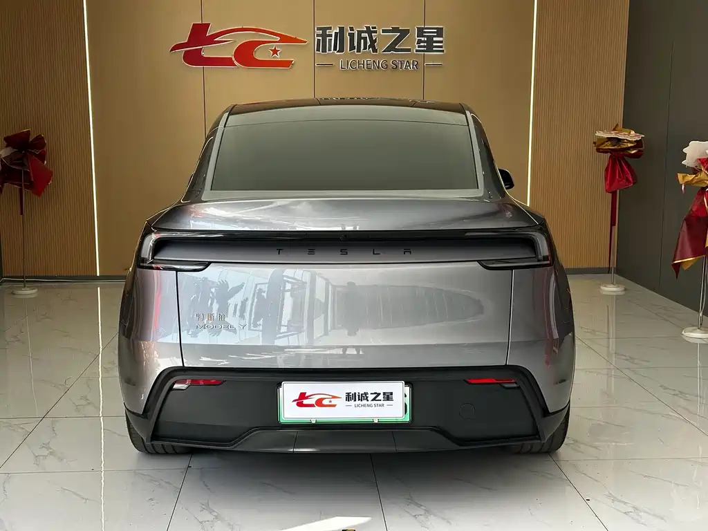 Tesla Model Y — миниатюра 5