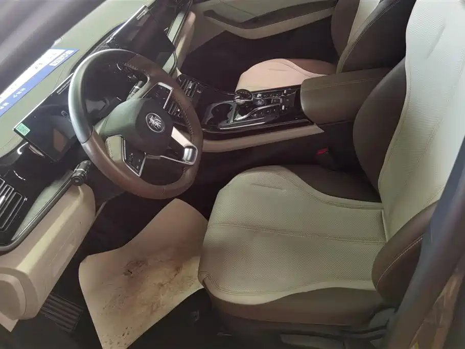 BYD Qin Plus PLUS 2023 Champion DM-i 55KM Lead