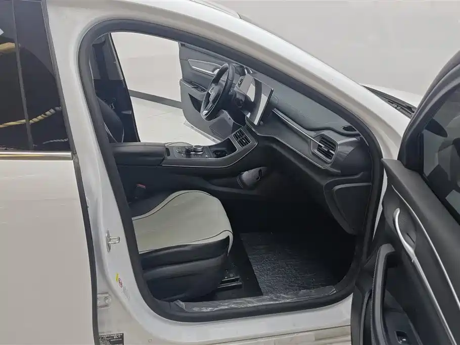 BYD Destroyer 05 2024 DM-i 55KM Luxury