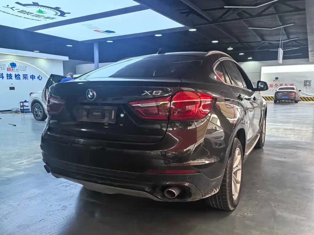 BMW X6 — миниатюра 8
