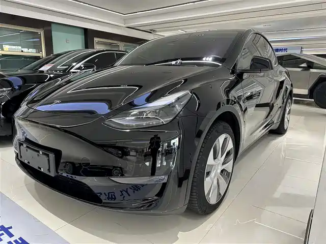 TESLA MODEL Y 2021