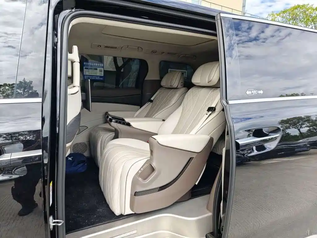 Denza Denza D9 — миниатюра 7