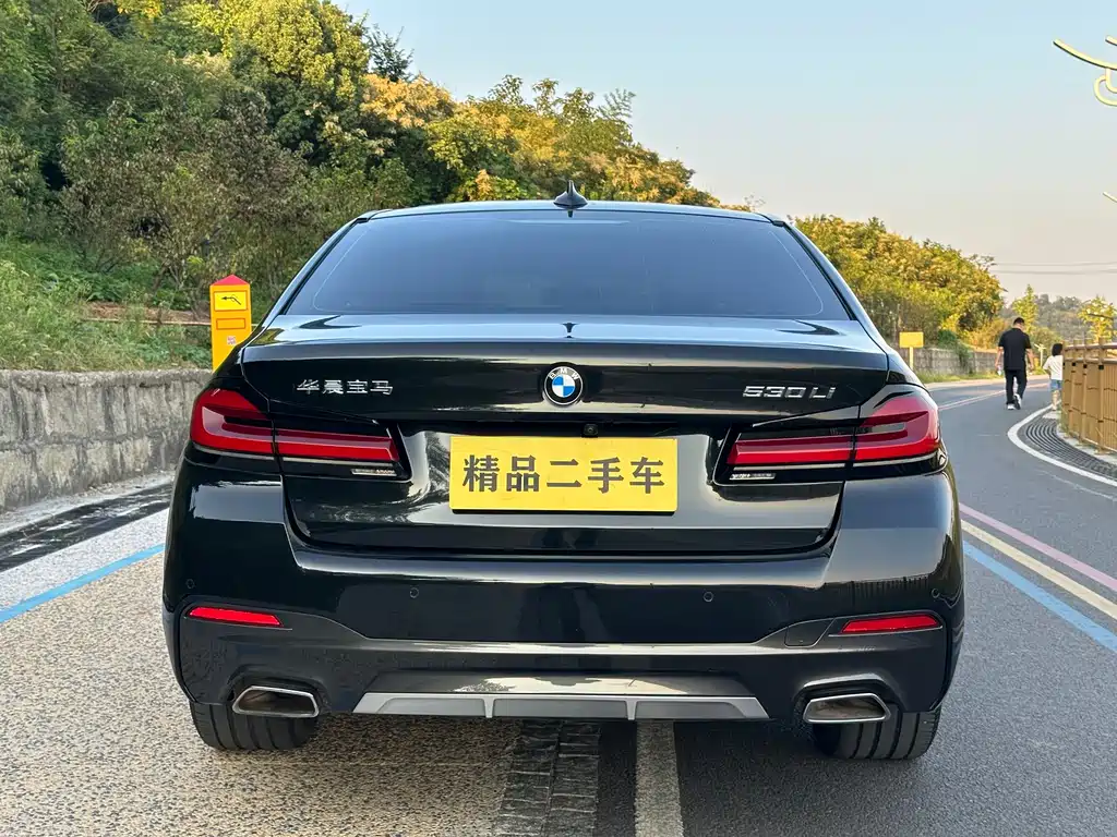 BMW 5 Series — миниатюра 14