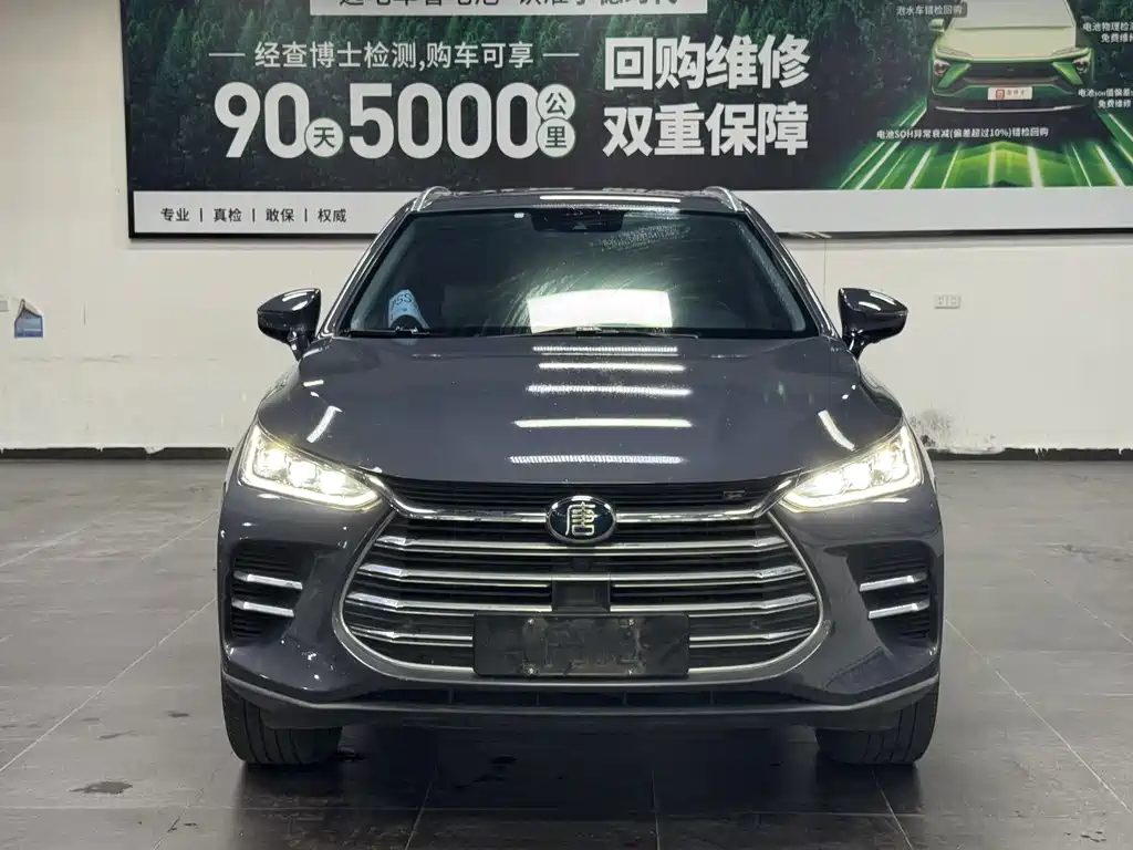 BYD Tang New Energy — миниатюра 2