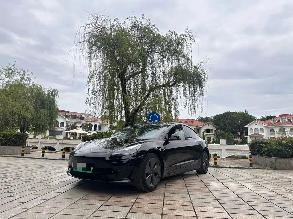 Tesla Model 3 2022 RWD Drive Dynamic Edition