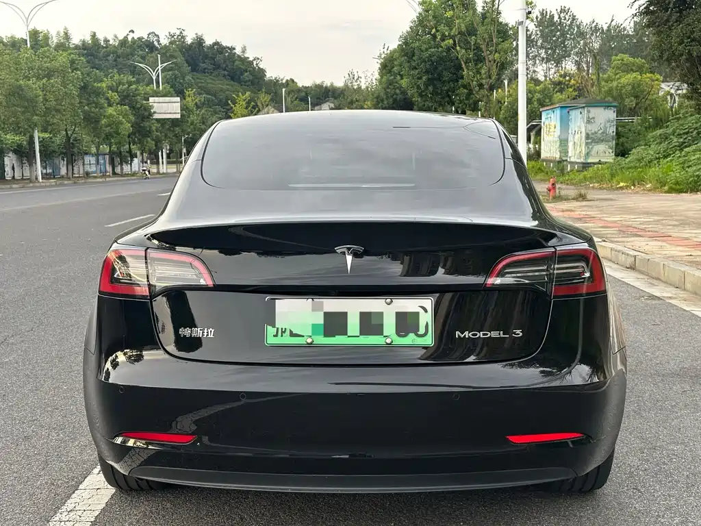 Tesla Model 3 — миниатюра 8