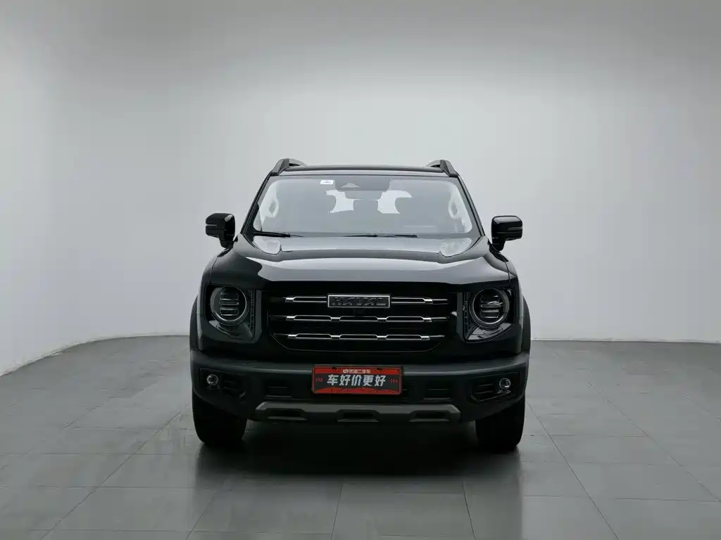 Haval Big Dog — миниатюра 3