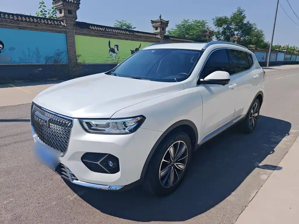 Haval H6 — миниатюра 2