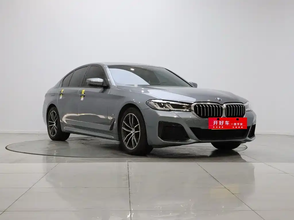 BMW 5 Series (Import) — миниатюра 3