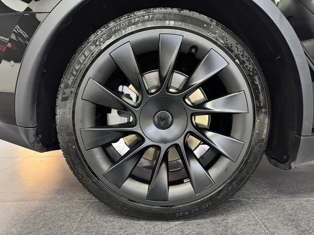 Tesla Model Y — миниатюра 15