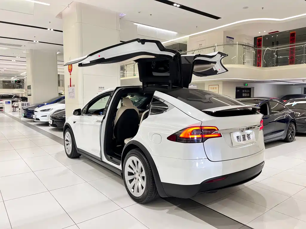 TESLA MODEL X