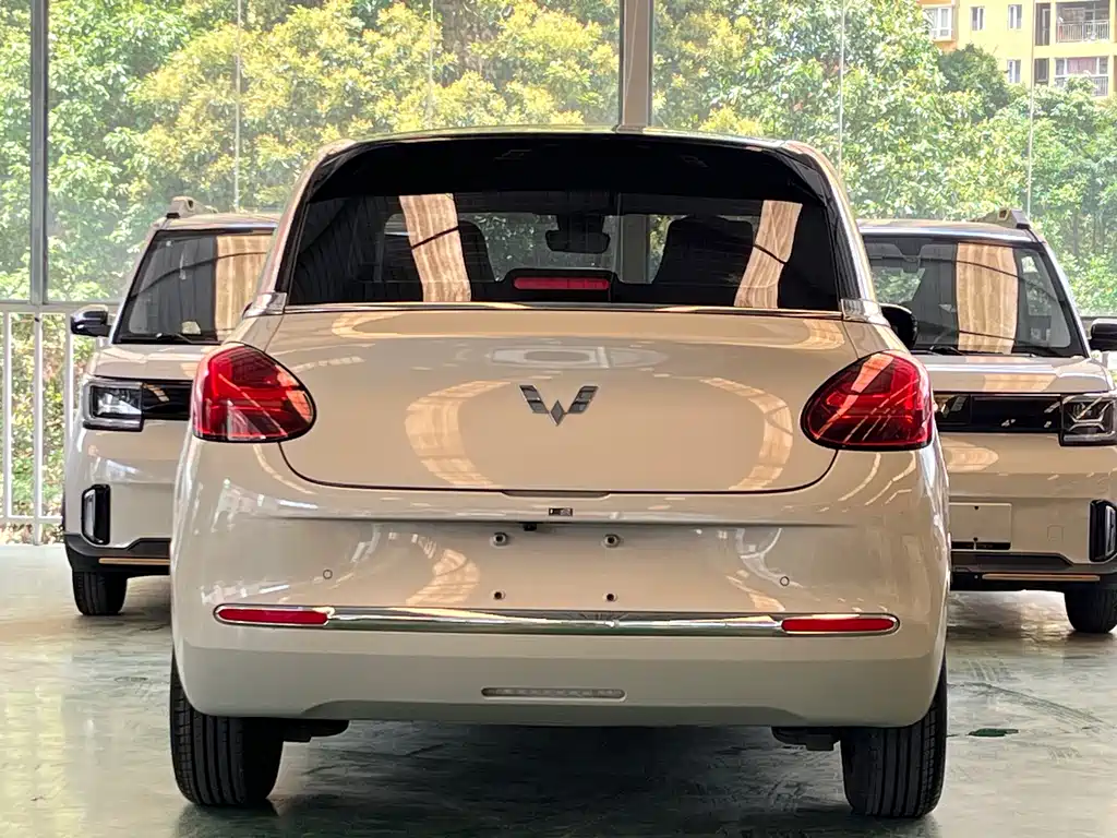 Wuling Binguo 2023 333km +