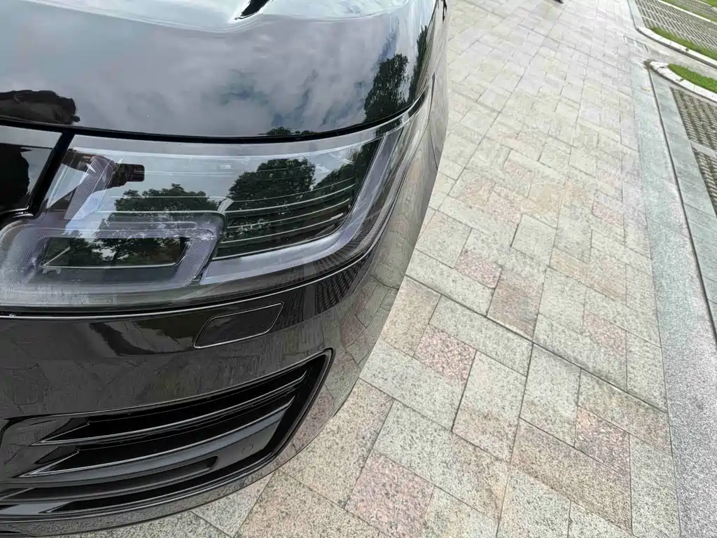 Land Rover Range Rover — миниатюра 14