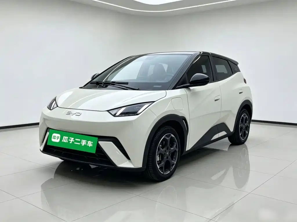 BYD Seagull 2025 305km Freedom