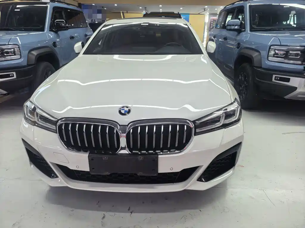 BMW 5 Series — миниатюра 2