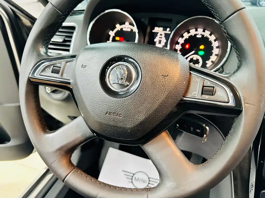 Skoda Yeti 1.8TSI DSG Wild Drive Edition, фото 50