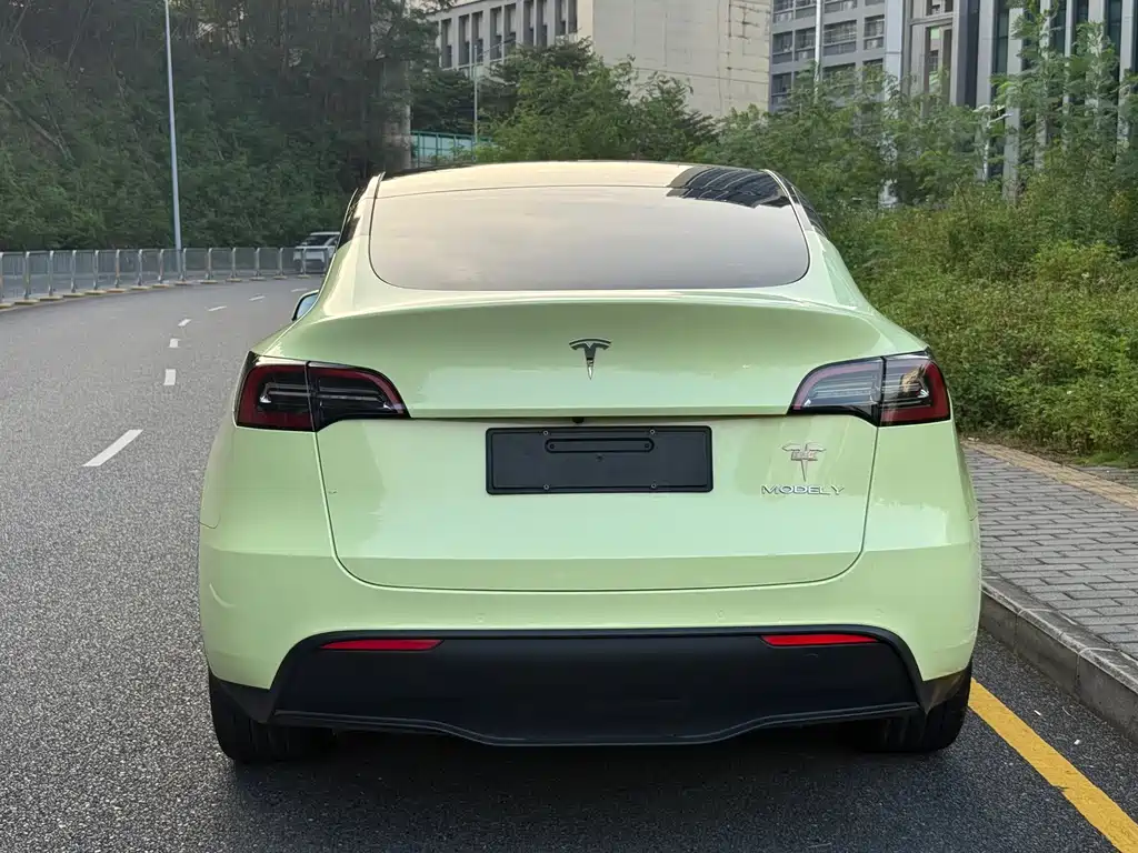 Tesla Model Y — миниатюра 16