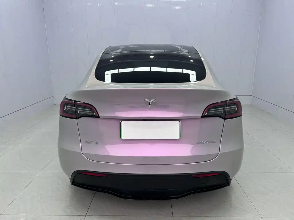 Tesla Model Y — миниатюра 4