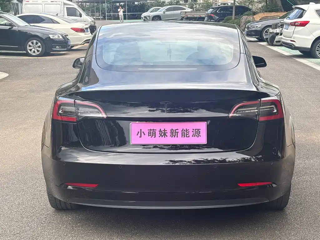Tesla Model 3 — миниатюра 21