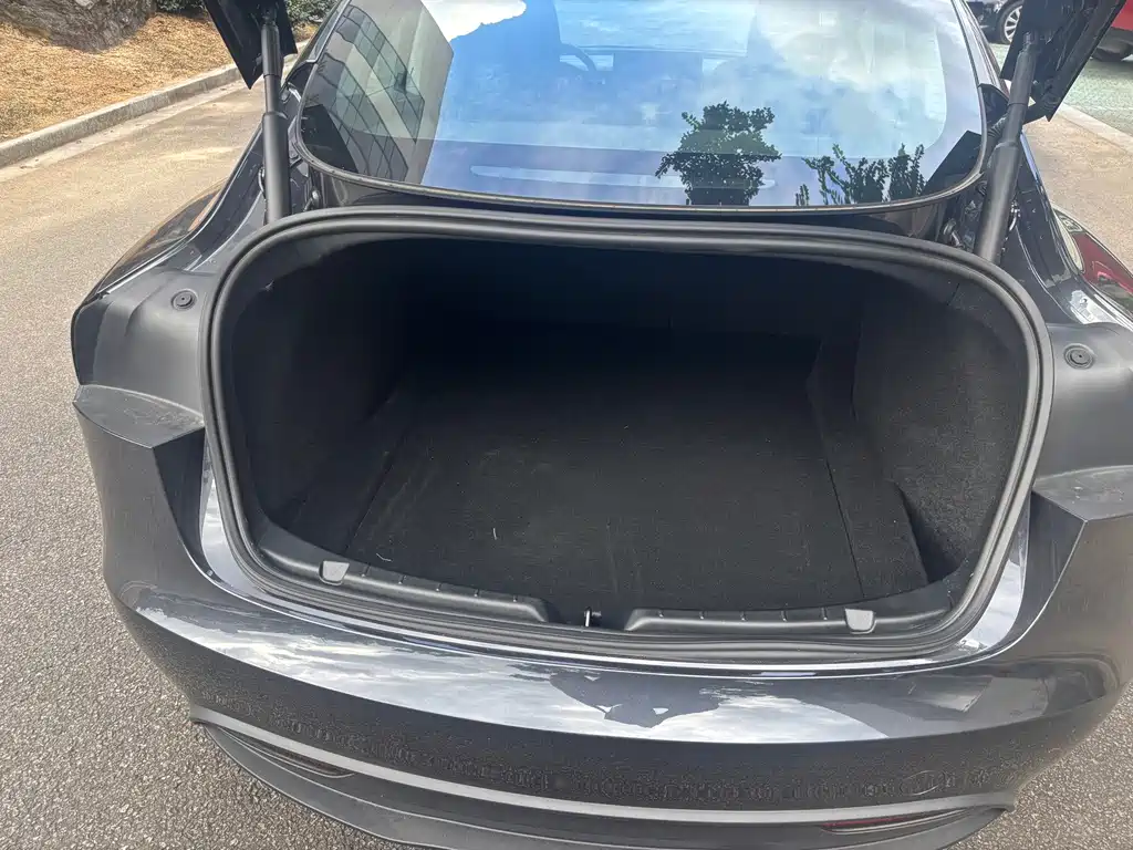 Tesla Model 3 — миниатюра 18