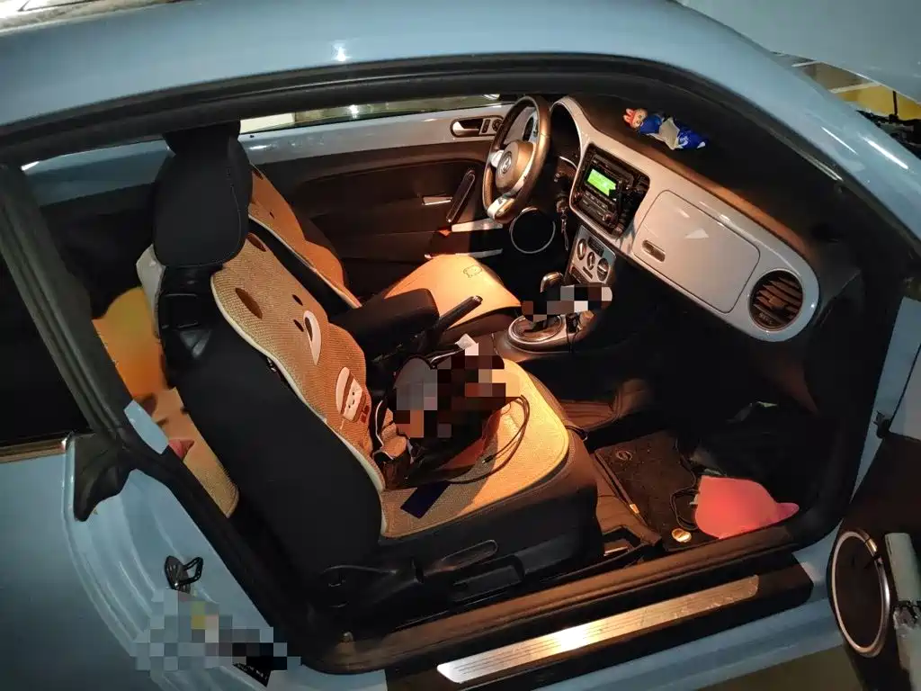 Volkswagen Beetle — миниатюра 18