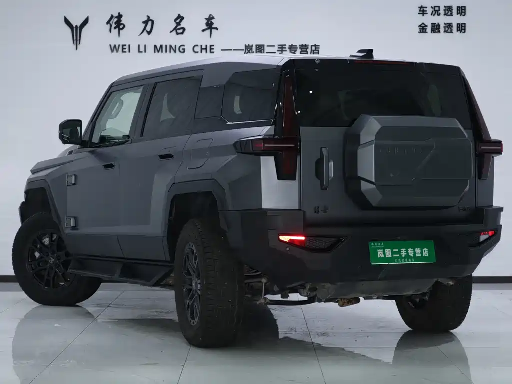 Mengshi Mengshi 917 — миниатюра 28